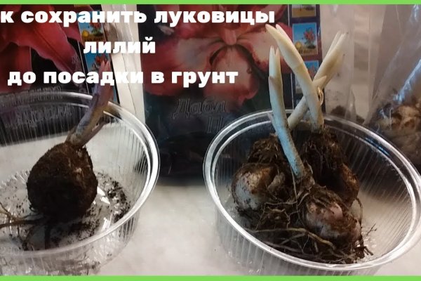 Kraken торговая площадка ссылка